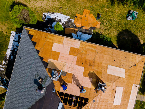 Best Roof Gutter Cleaning  in Tahoka, TX